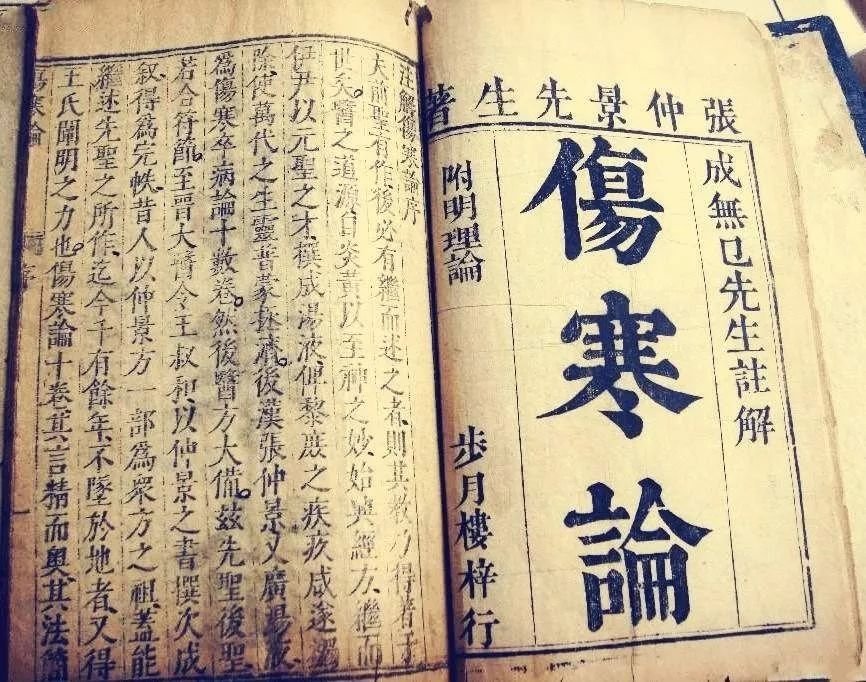 Quand la médecine chinoise devient de l’Art - Partie 2 — illustration 5