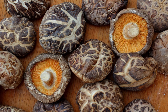 Les mille et une vertus du champignon parfumé